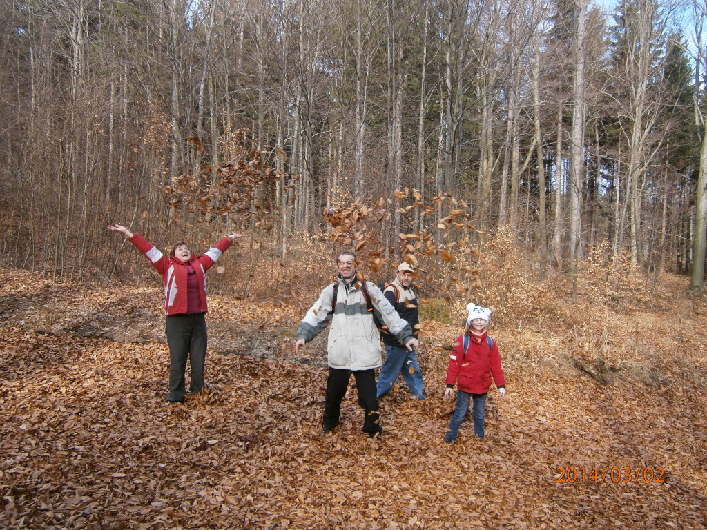 Když nepadá sníh,padá aspoň listí.