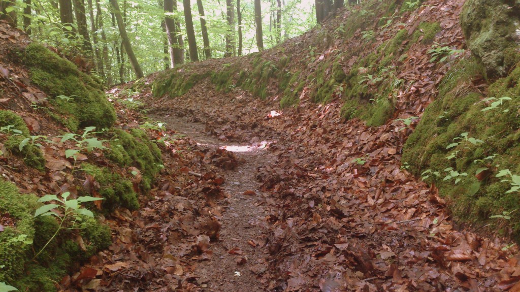 Toto vytvořila voda z přívalových dešťů