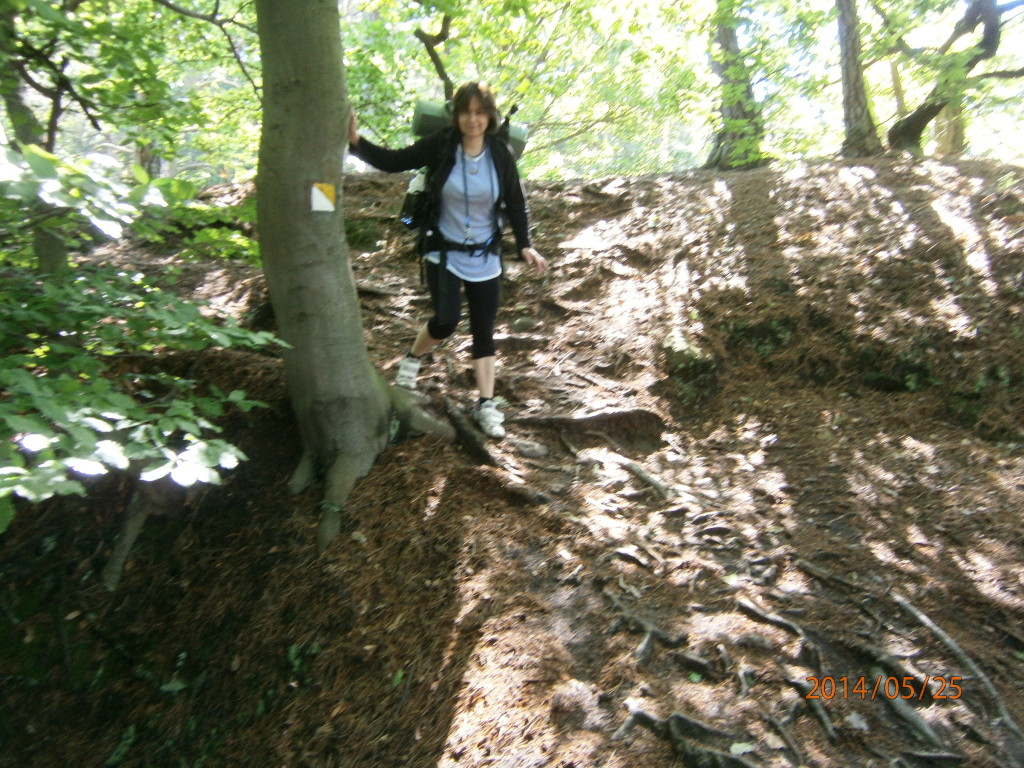 Tohle že je stezka?